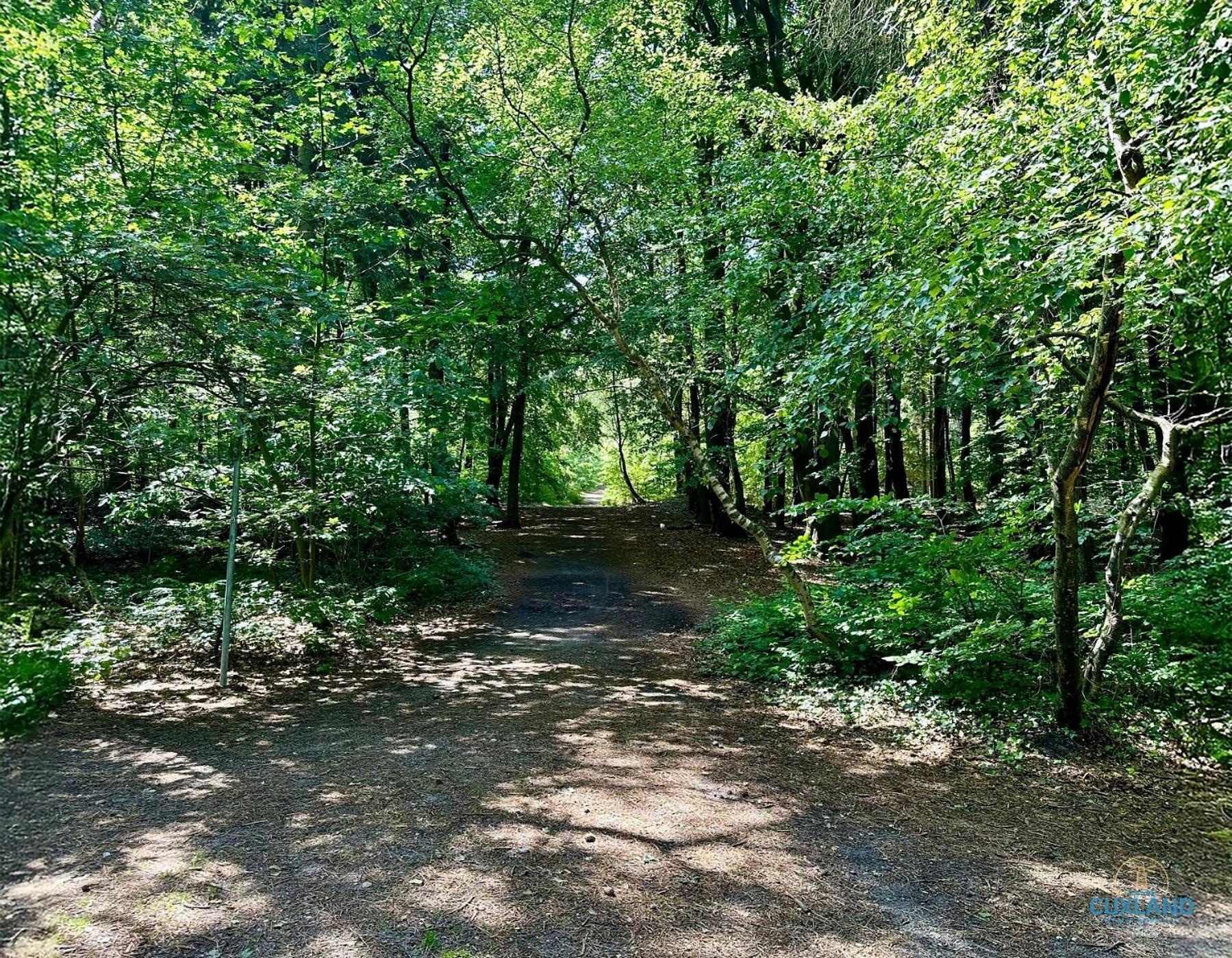 Ferienwohnung Auszeit am Wernerwald im Haus Frauenpreiss Cuxhaven Exterior foto